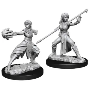D&D Nolzurs Marvelous Unpainted Miniatures Female Half Elf Monk