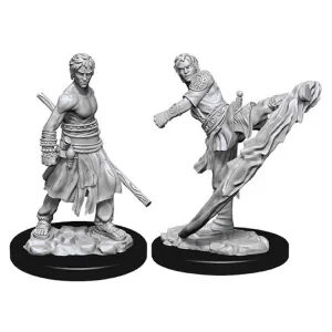 D&D Nolzurs Marvelous Unpainted Miniatures Male Half Elf Monk