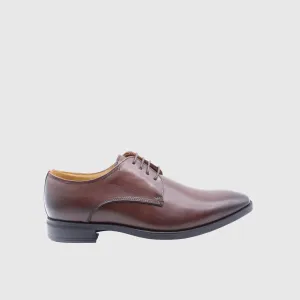 Dynasty Oxfords