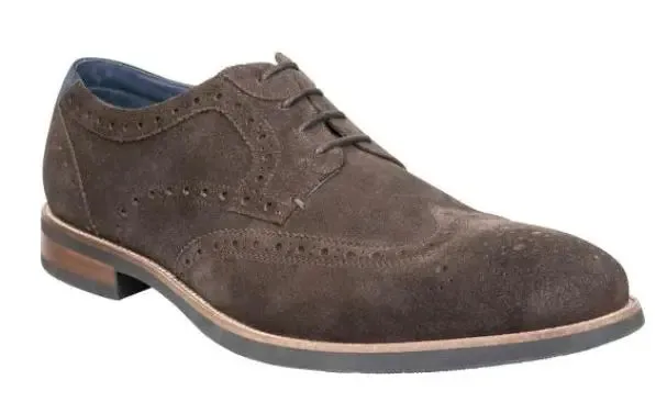 FLORSHIEM ARCUS BROWN SUEDE