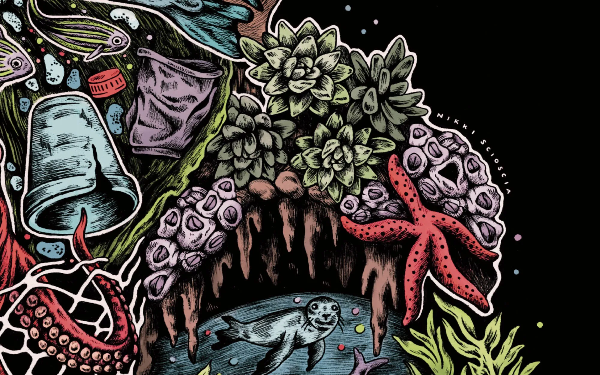 Issues Facing the Ocean: Plastic Pollution