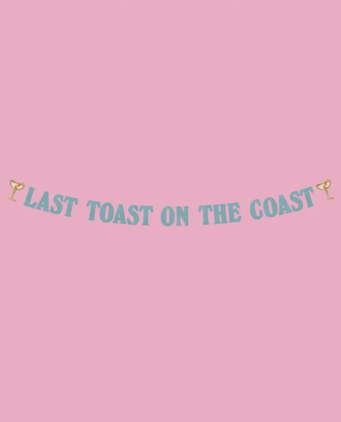 Last Toast On the Coast Banner