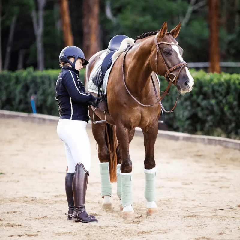 Lumiere Bridle Arabella Hanoverian