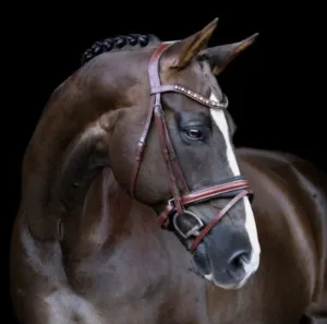Lumiere Bridle Arabella Hanoverian