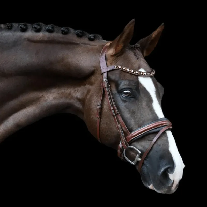 Lumiere Bridle Arabella Hanoverian