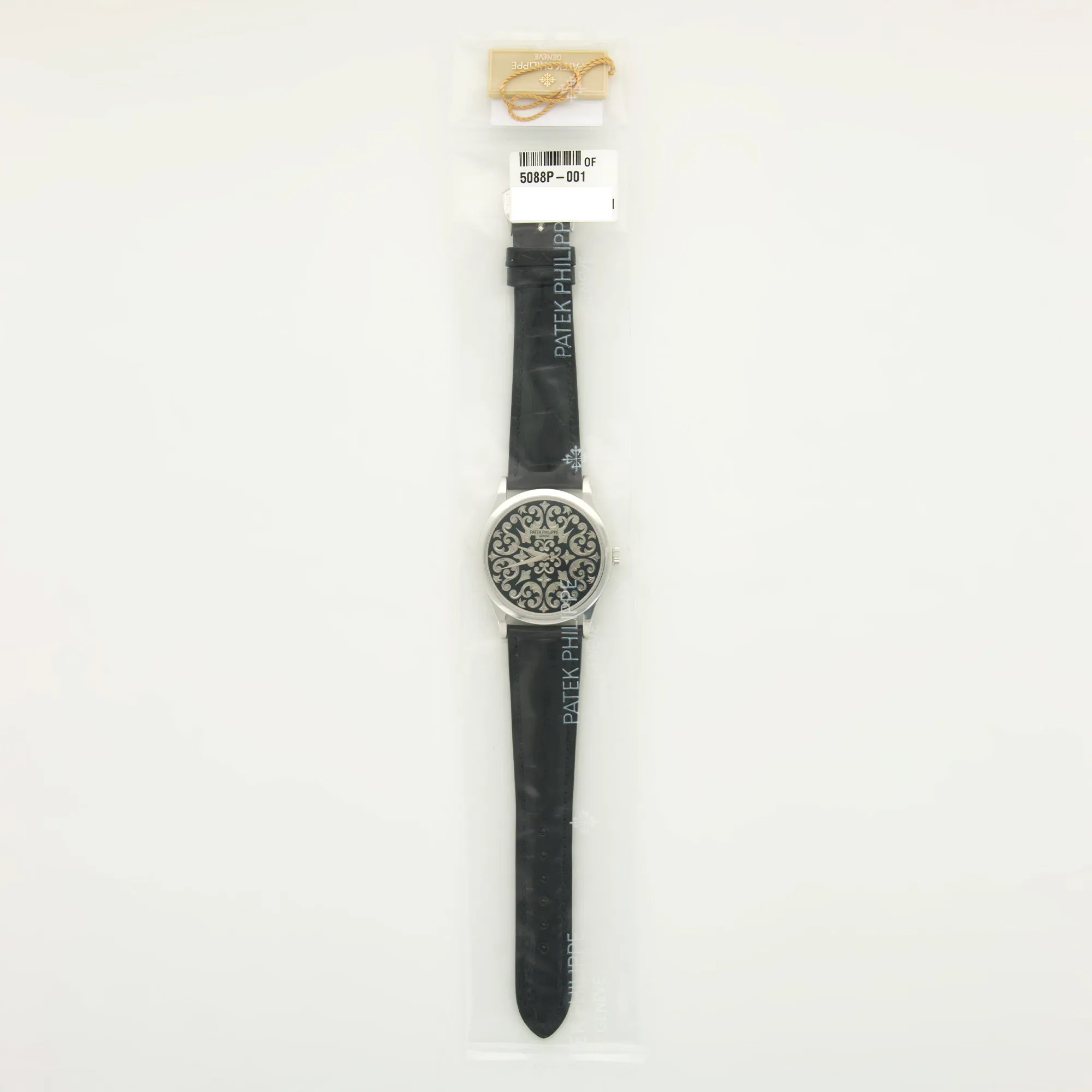 Patek Philippe Platinum Rare Handcrafts Enamel Watch Ref. 5088P