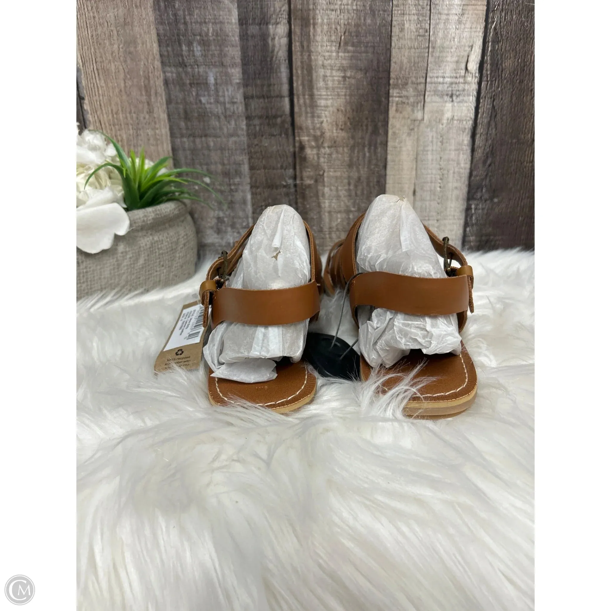 Sandals Flats By Toms In Brown, Size: 8