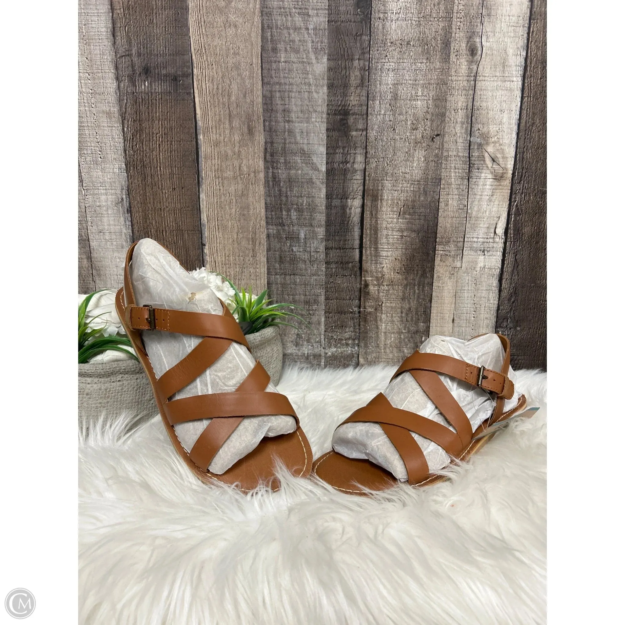 Sandals Flats By Toms In Brown, Size: 8