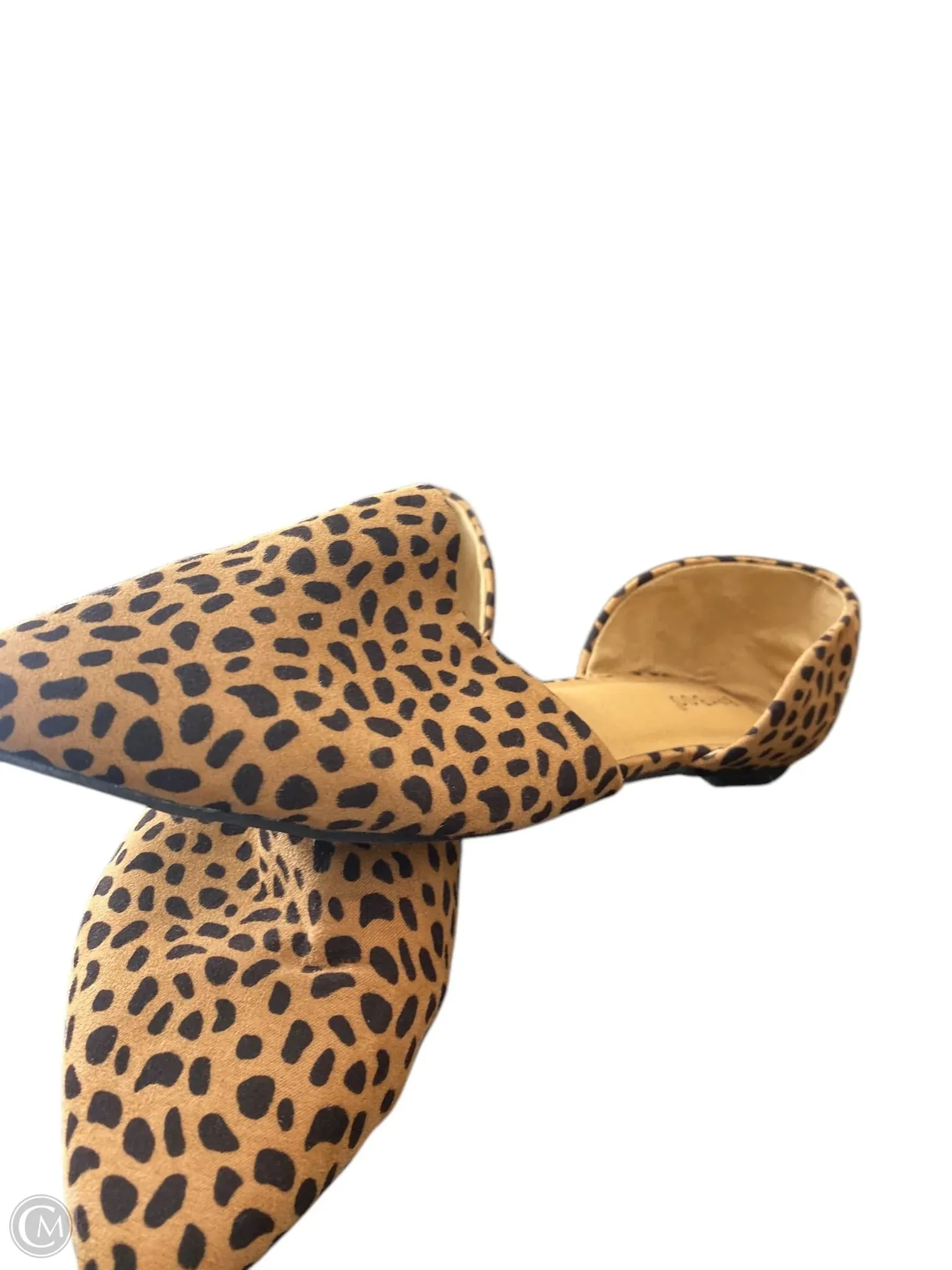 Shoes Flats By Bamboo In Animal Print, Size: 9