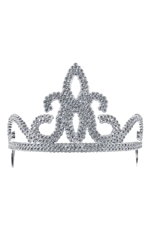 Silver Princess Tiara Accessory