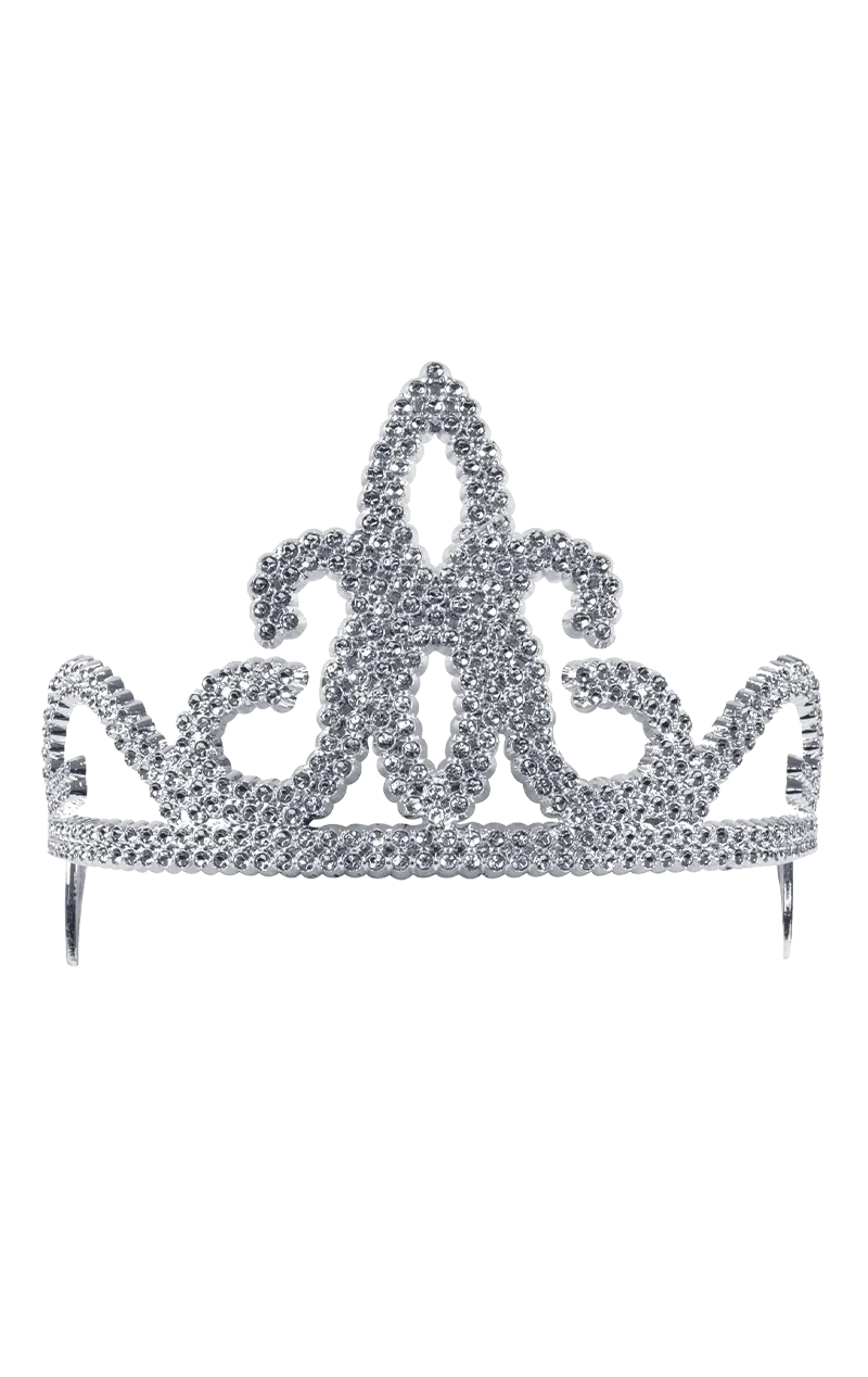 Silver Princess Tiara Accessory