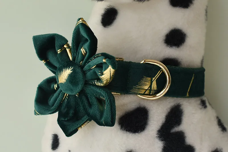 Sparkle With Green: Personalized Pet Bow Collar And Leash