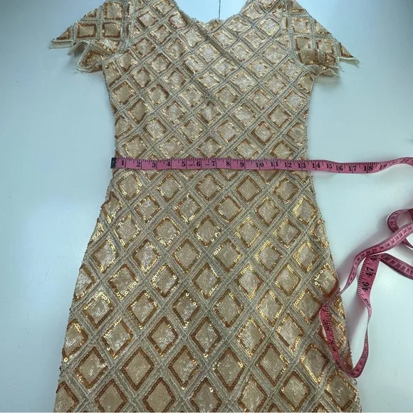 Verty Gold Silver Sequins VintageInspired Dimond Shape Fringe Flapper Dress S/M?